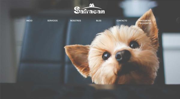 Página web de Safracan
