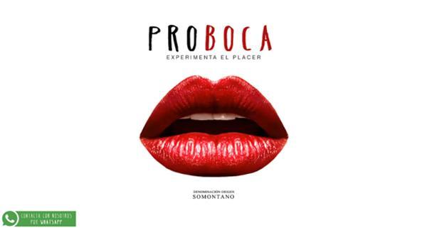 Página web de Proboca